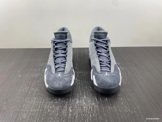 Rep LUCY Air FJ3460-012 14 Jordan Flint Grey 0816